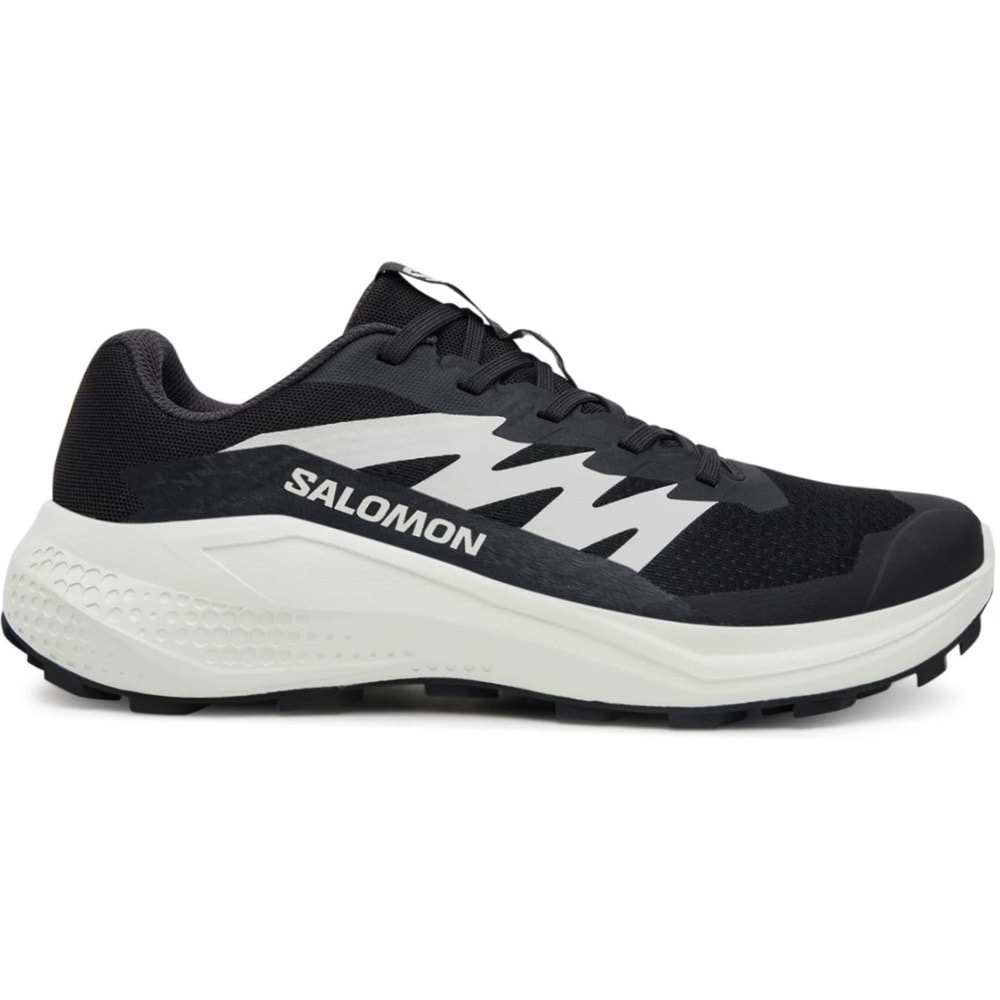 Salomon Alpha Glide L47801000 Erkek Spor Ayakkabı