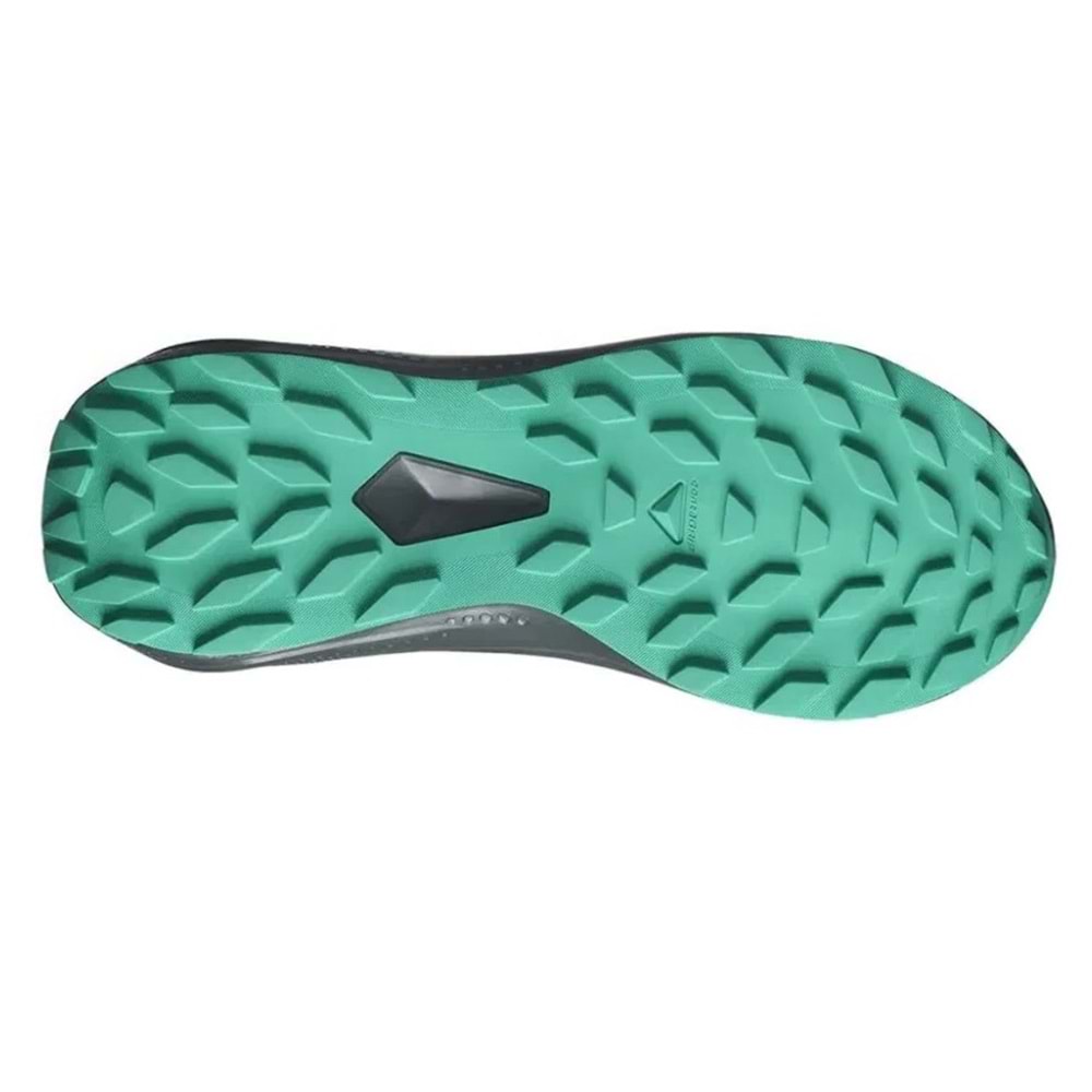 Salomon Alpha Glide Gtx W Gore-Tex® L47802400 Erkek Spor Ayakkabı