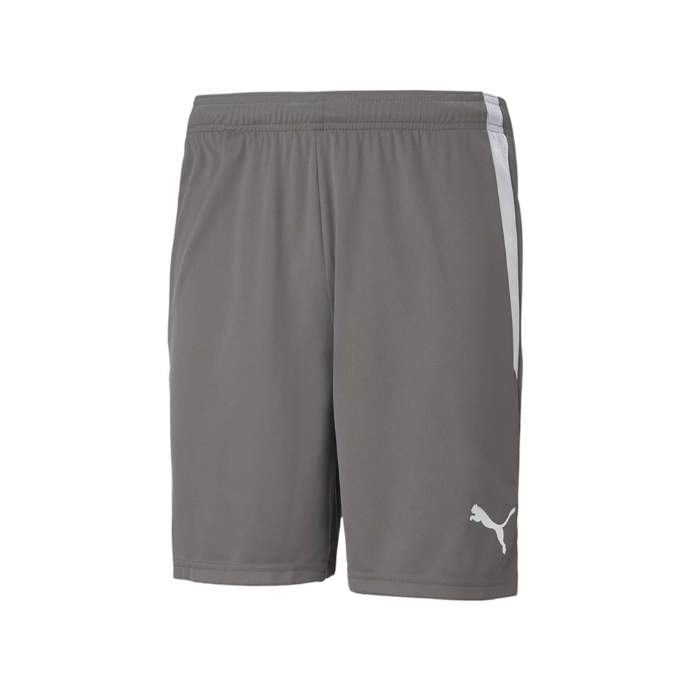 Puma 704924-13 Teamliga Shorts Erkek Futbol Şortu