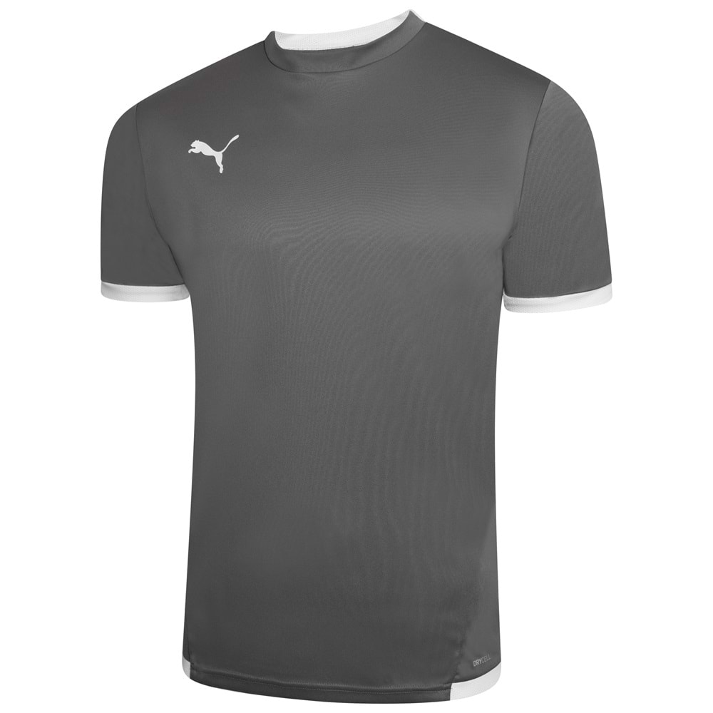 Puma 704917-13 Teamliga Jersey T-Shirt Dry-Cell Erkek Tişört