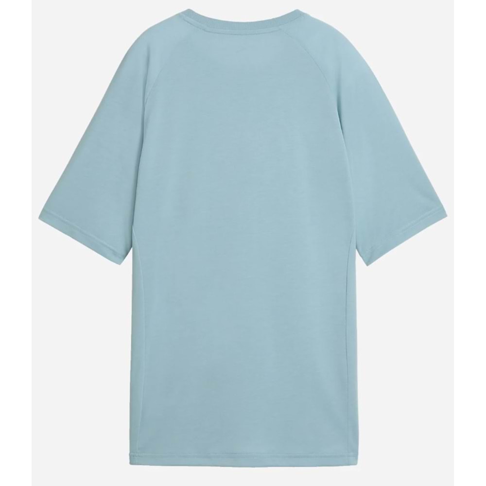 Puma Evostrıpe Graphic Tee 691896-47 Kadın Tişört