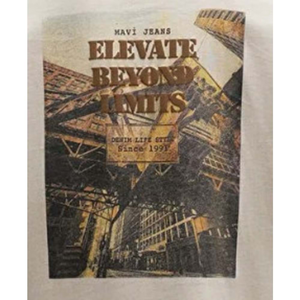 Mavi 0612837-70039 Baskılı Baskılı Tişört Erkek T-Shirt