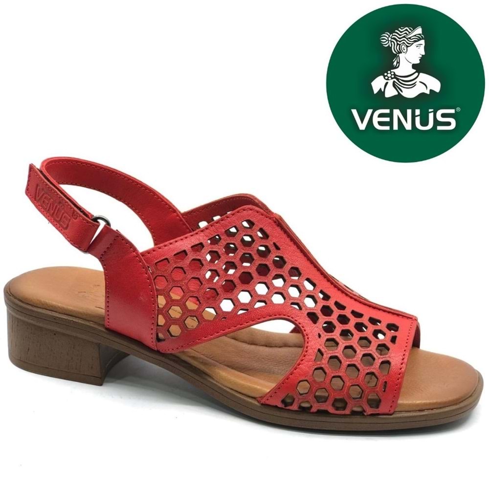 Venüs Nimbatik Hakiki Deri Comfort Ortopedik Kadın Sandalet