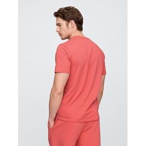 Gap Everyday Soft Basic Gap Logo 856659 T-Shirt Kısa Kol Tişört Erkek T-Shirt