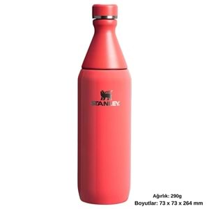 Stanley The All Day Slim Su Şişesi 0.59 L Termos Kamp Matara
