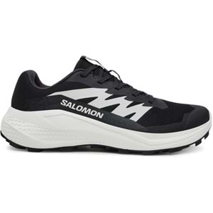 Salomon Alpha Glide L47801000 Erkek Spor Ayakkabı