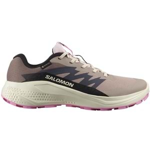 Salomon Alpha Glide Gtx W Gore-Tex® L47857900 Erkek Spor Ayakkabı