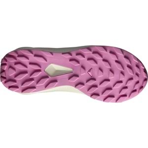 Salomon Alpha Glide Gtx W Gore-Tex® L47857900 Erkek Spor Ayakkabı