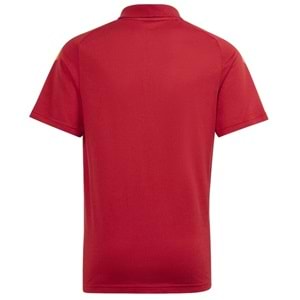 Adidas Tiro 24 C Polo Yaka Tişört Erkek T-Shirt