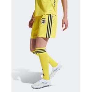 Fenerbahçe Sk Shorts 25/26 Erkek Futbol Şortu