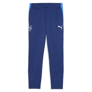 Puma Neymar JR Playmaker Trg Pant 660312-10 Erkek Eşofman Altı