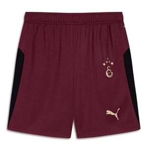 Galatasaray S.k. Shorts 25/26 Üçüncü Şort Erkek Futbol Şortu