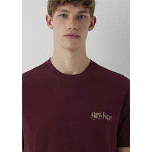 Mavi M0613576-70426 Mavi Harry Potter Baskılı T-Shirt Erkek Tişort