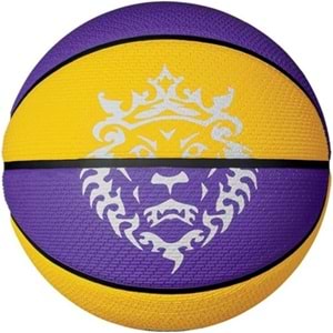 Nike LeBron James İndoor/Outdoor 7 Numara Unisex Basketbol Topu