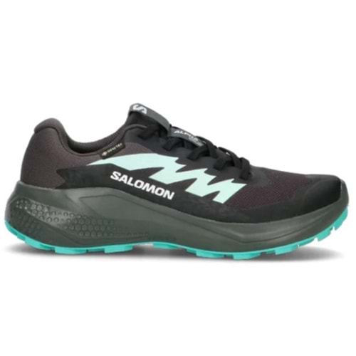 Salomon Alpha Glide Gtx W Gore-Tex® L47802400 Erkek Spor Ayakkabı
