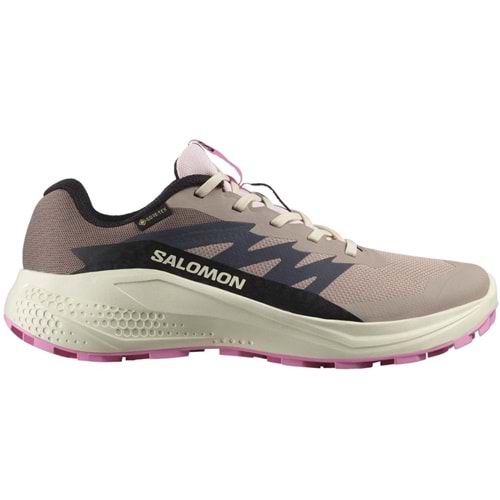 Salomon Alpha Glide Gtx W Gore-Tex® L47857900 Erkek Spor Ayakkabı