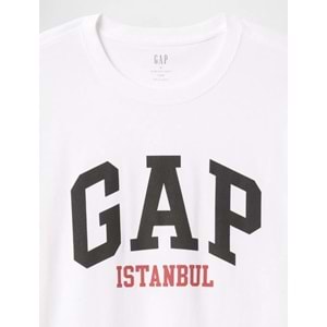 Gap V-Frch Gap İstanbul - 745261000 Kısa Kol Tişört Erkek T-Shirt