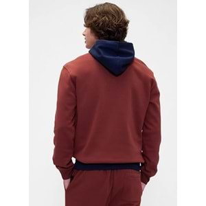 Gap 795560 Relaxed Logo Colorblock Erkek Kapüşonlu Sweatshirt