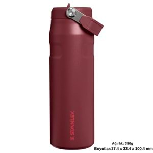 Stanley The IceFlow Flip Straw Pipetli Termos Bardak 0,70 LT Matara