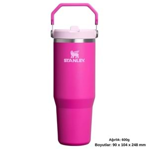 Stanley The IceFlow Flip Straw Pipetli Termos Bardak 0.89 LT Matara