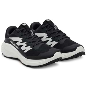 Salomon Alpha Glide L47801000 Erkek Spor Ayakkabı