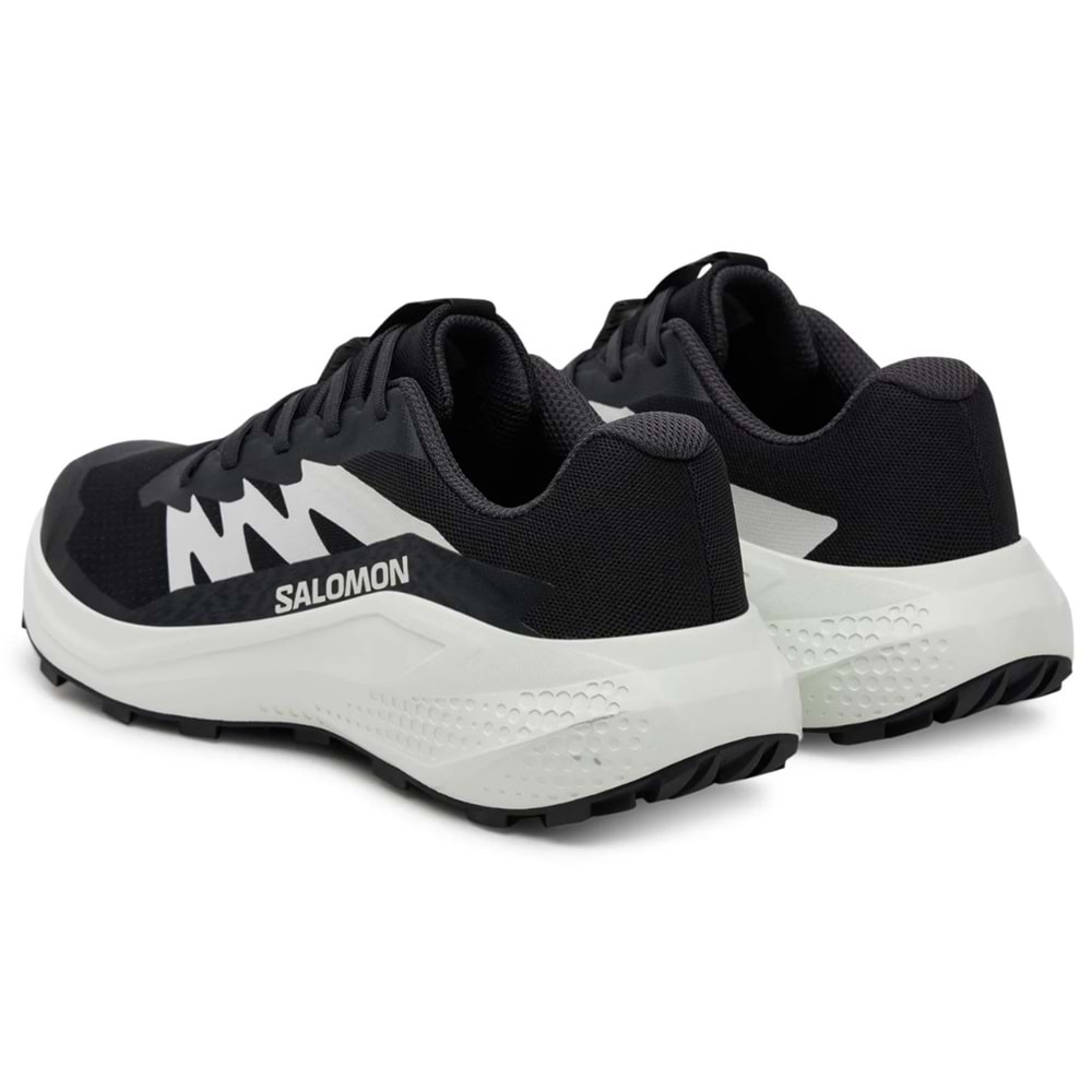 Salomon Alpha Glide L47801000 Erkek Spor Ayakkabı