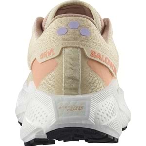 Salomon Aero Glide 3 Grvl L47812500 Patika Koşu Ayakkabısı Unisex Spor Ayakkabı