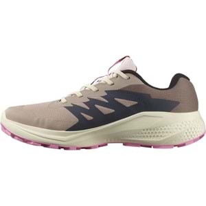 Salomon Alpha Glide Gtx W Gore-Tex® L47857900 Erkek Spor Ayakkabı