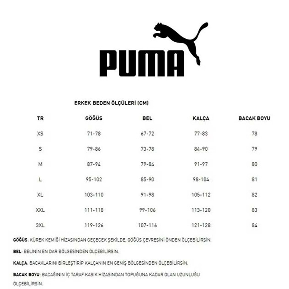 Puma 520314-02 Performance Ss Tee Tişort Erkek T-Shirt