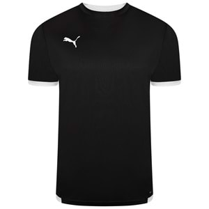 Puma 704917-03 Teamliga Jersey T-Shirt Dry-Cell Erkek Tişört