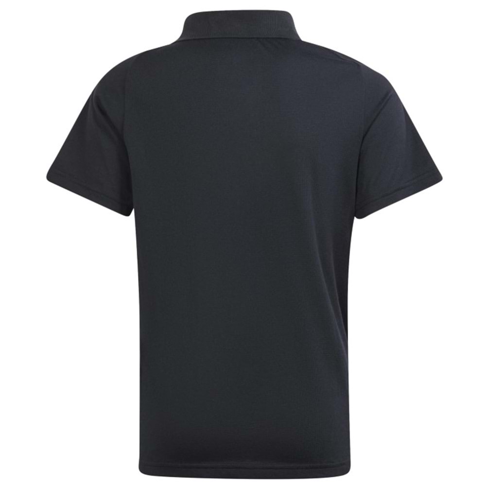 Adidas Tiro 24 C Polo Yaka Tişört Erkek T-Shirt