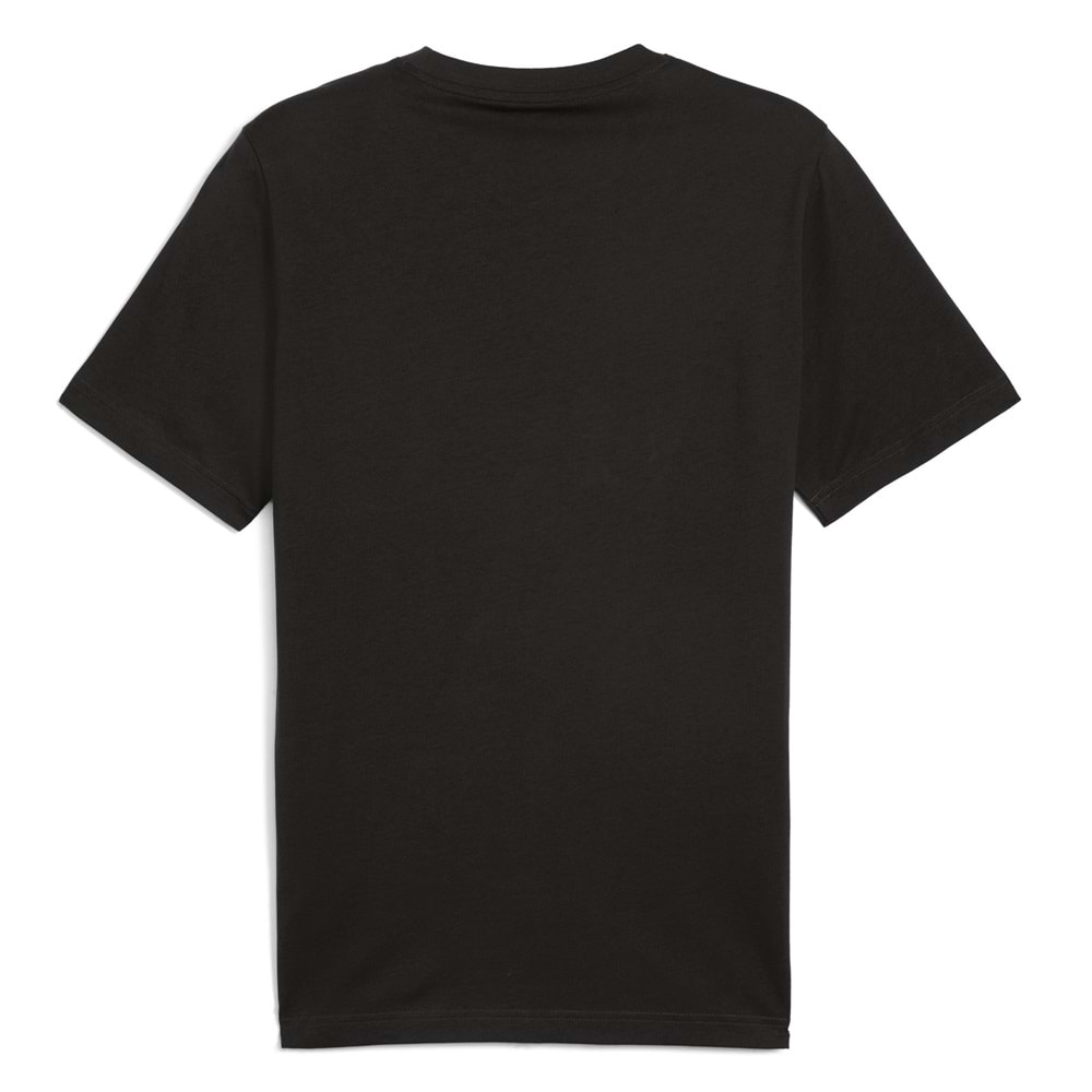 Puma 684828-01 Graphic Mountain Tee Tişört Erkek T-Shirt