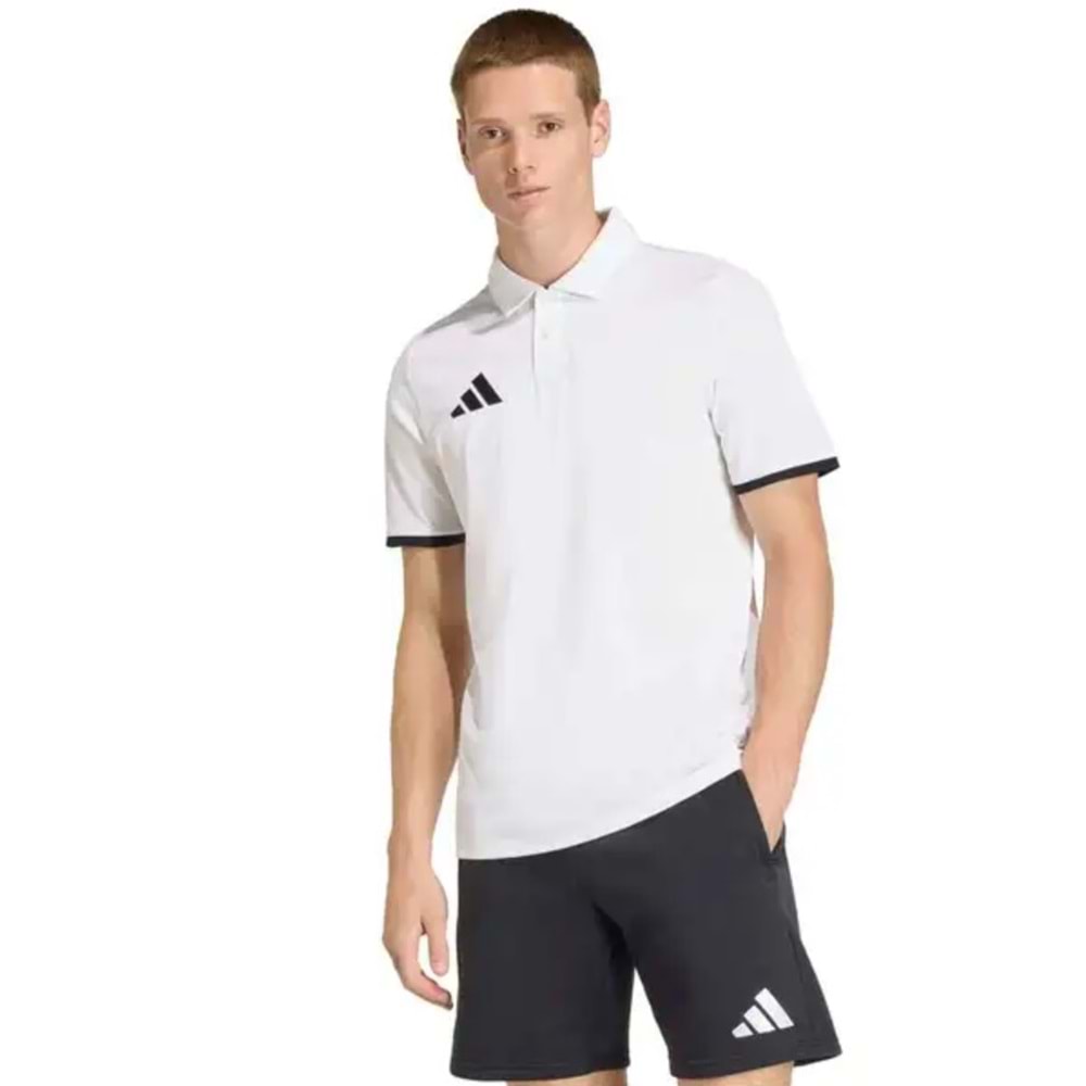 Adidas Entrada 26 Polo Yaka Tişört Erkek T-Shirt