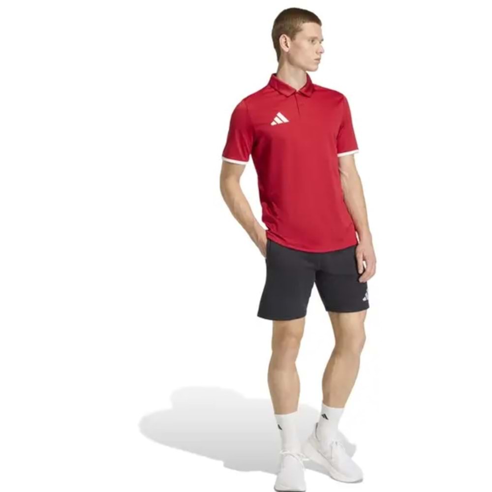 Adidas Entrada 26 Polo Yaka Tişört Erkek T-Shirt
