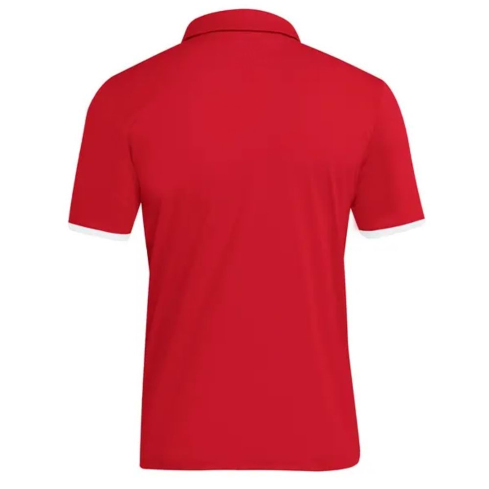 Adidas Entrada 26 Polo Yaka Tişört Erkek T-Shirt
