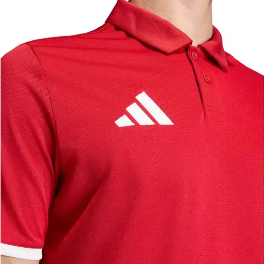 Adidas Entrada 26 Polo Yaka Tişört Erkek T-Shirt