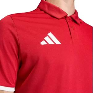 Adidas Entrada 26 Polo Yaka Tişört Erkek T-Shirt
