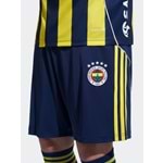 LACİVERT-SARI