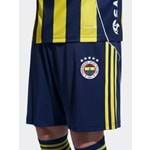 LACİVERT-SARI