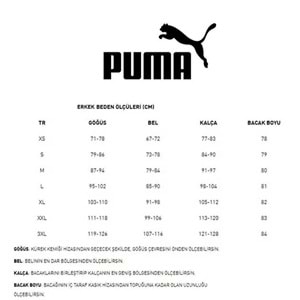Puma 632655-04 F1 Graphic Tee - Relaxed Tişört Erkek T-Shirt