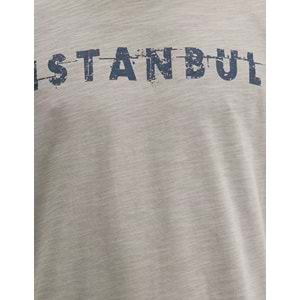 Mavi M066282-31935 İstanbul Baskılı Tişört Erkek T-Shirt