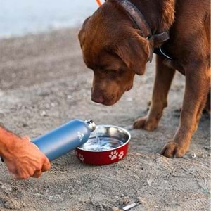 Igloo Hydrate Pro Botte 500ml Termos Matara