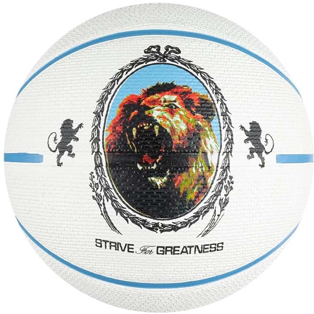 Nike LeBron James İndoor/Outdoor 7 Numara Unisex Basketbol Topu