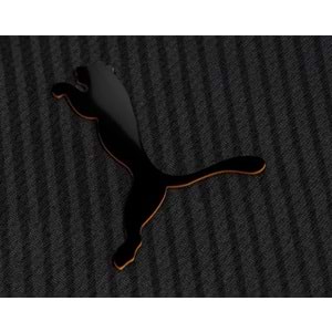 Galatasaray S.K. Özel Forma 25/26 Limited Edition Forma 4. Forma 5 Yıldızlı Erkek Forması