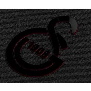 Galatasaray S.K. Özel Forma 25/26 Limited Edition Forma 4. Forma 5 Yıldızlı Erkek Forması