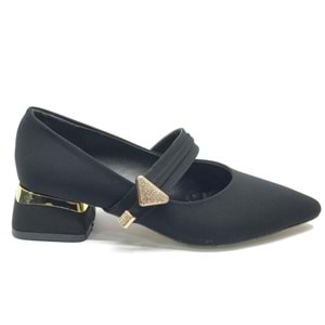 Feles Blower Detaylı Sivri Burun Topuklu Kadın Ayakkabı