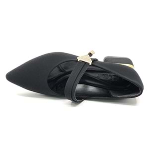 Feles Blower Detaylı Sivri Burun Topuklu Kadın Ayakkabı