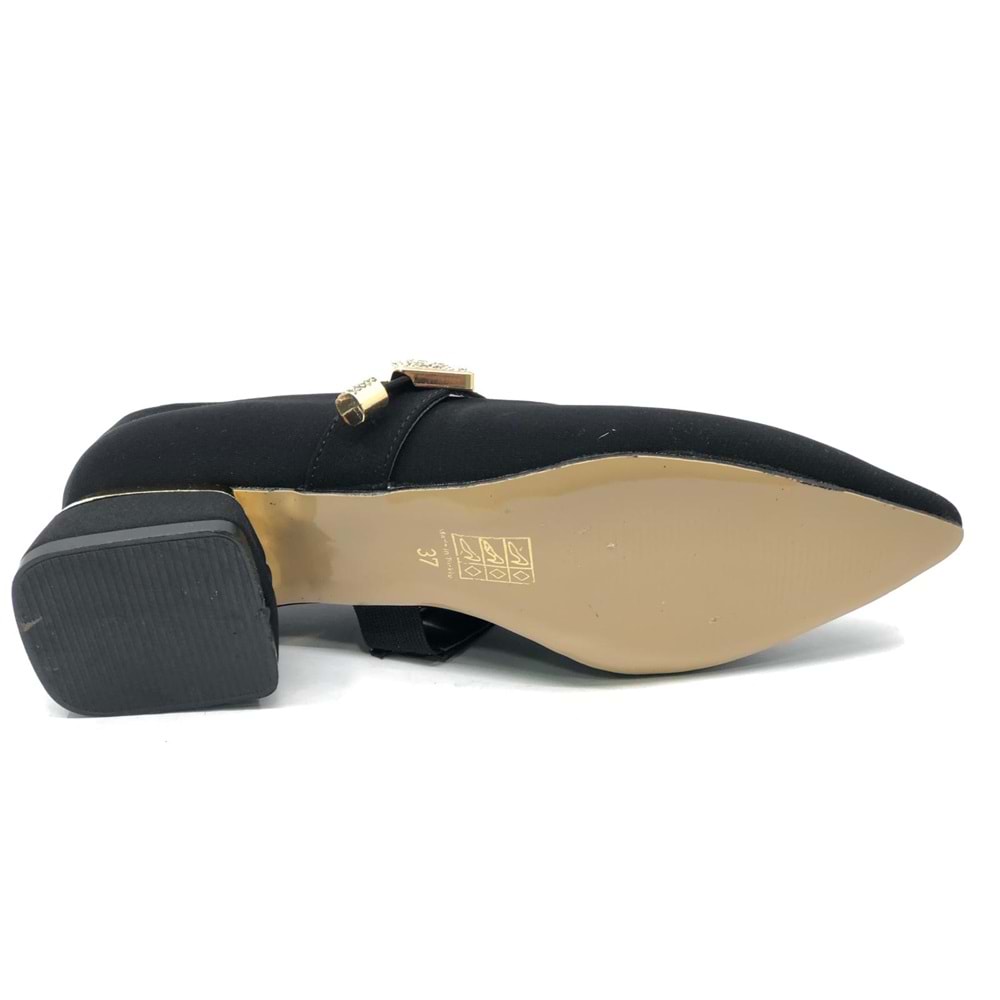 Feles Blower Detaylı Sivri Burun Topuklu Kadın Ayakkabı