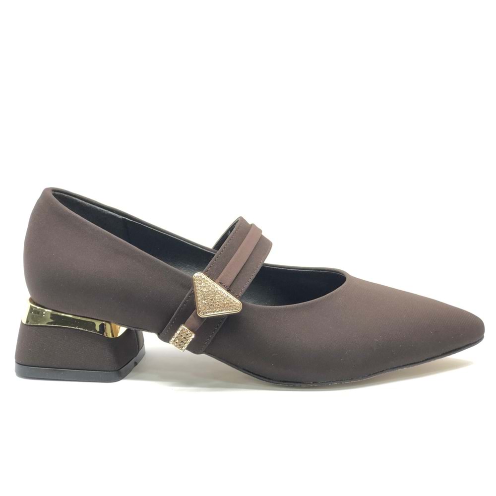 Feles Blower Detaylı Sivri Burun Topuklu Kadın Ayakkabı