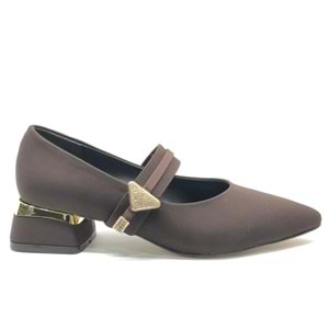 Feles Blower Detaylı Sivri Burun Topuklu Kadın Ayakkabı